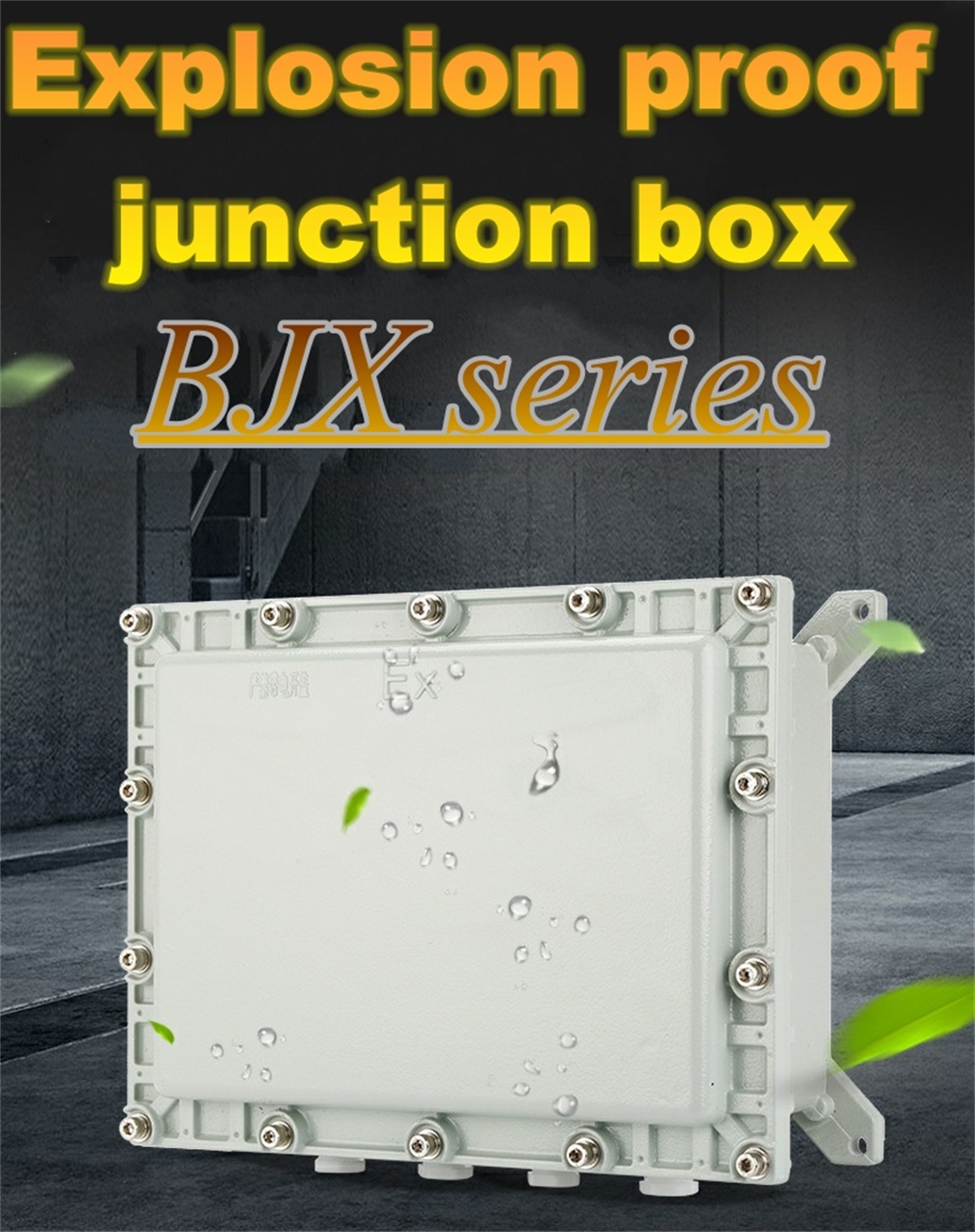 Explosion proof junction box